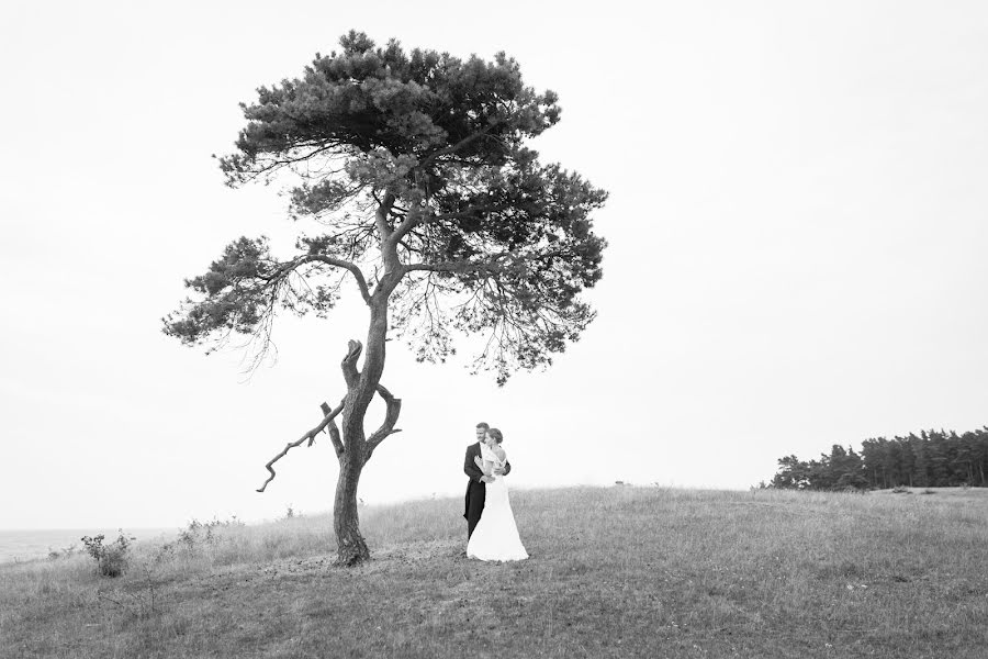 Fotógrafo de casamento Loke Roos (lokeroos). Foto de 30 de abril 2015