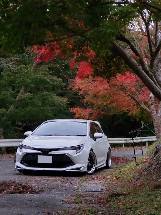 カローラスポーツのカレンダーに載ってみたい・11月エントリーします・ドライブ・紅葉と愛車に関するカスタム事例の投稿画像1枚目
