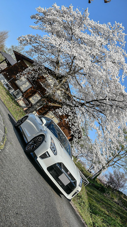 NISSAN GT-Rのサクラと愛車に関するカスタム事例の投稿画像1枚目