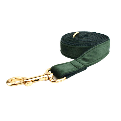 Title 8, Velvet Fabric Dog Collar Soft and stylish for y...