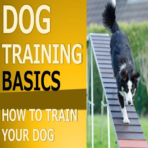 DOG TRAINING BASICS