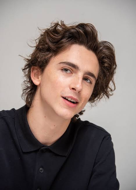 Hottest Male Blonde Actors - Timothy Chalamet 