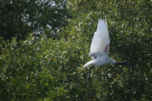 Nature Wings : Eco Tourism — business photo 2
