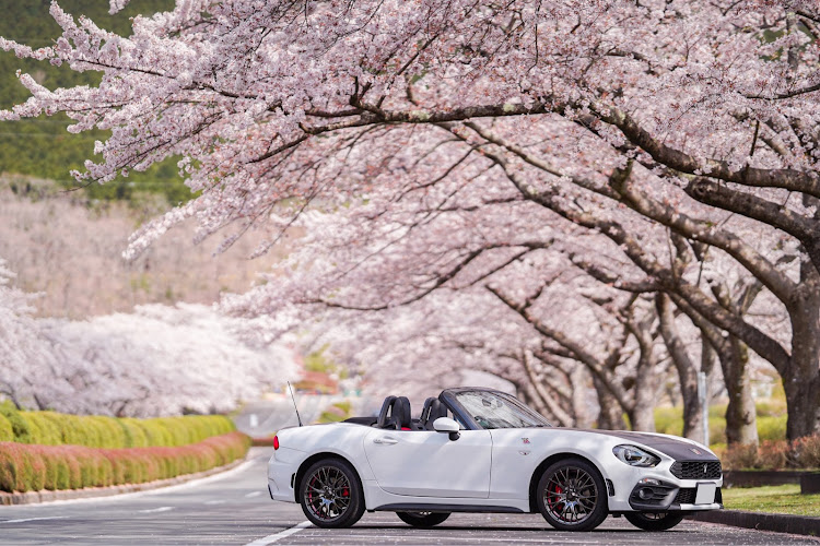 124スパイダーの桜と愛車・sa-20r・Weds Sportに関するカスタム事例の投稿画像1枚目