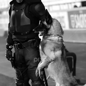 Dedicada ao GNR  e ao seu Cão  by Joaquim Martins Araujo - City,  Street & Park Street Scenes