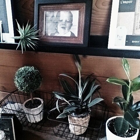 ディスプレイにも収納にも使える 100均のワイヤーバスケットが便利 Trill トリル