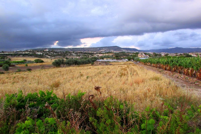 Chipre del Norte: Bellapais y Kyrenia - CHIPRE NORTE, SUR Y TROÖDOS: PARA TÍ, PARA MÍ Y PARA 'TOODOS' (20)