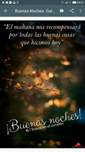 Buenas Noches. Hermosas Frases