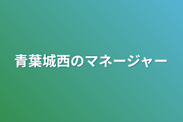 青葉城西のマネージャー