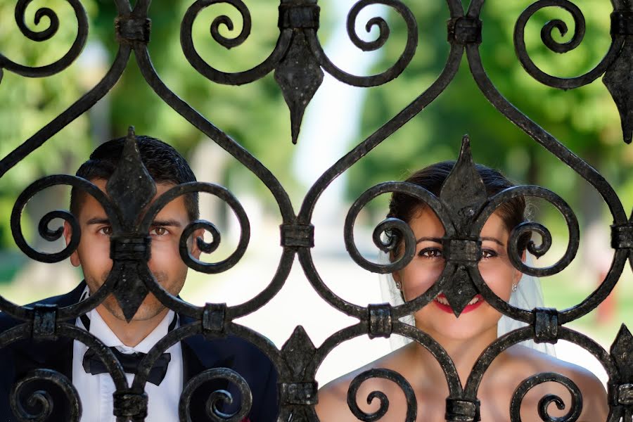 Fotógrafo de casamento Geo Dolofan (vision). Foto de 19 de agosto 2017