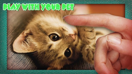How to download Pat The Relax Cat Simulator lastet apk for bluestacks