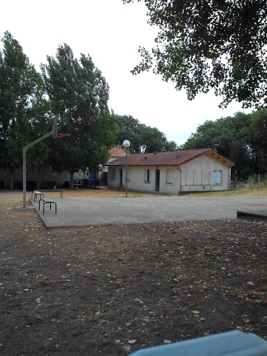 Terrain De Basket