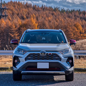 RAV4 MXAA54