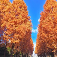 桐花村客家料理