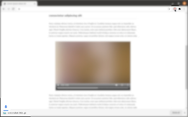 Video Screenshot chrome extension
