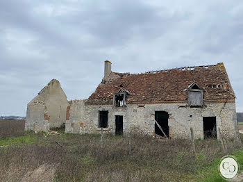 Mont-près-Chambord (41)