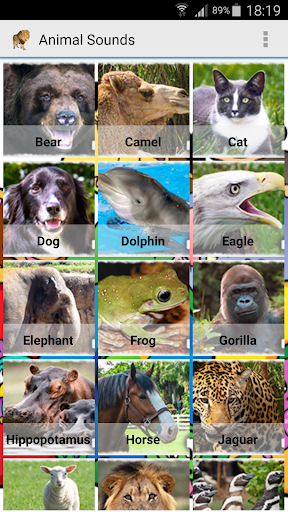 免費下載娛樂APP|Animal Sounds app開箱文|APP開箱王