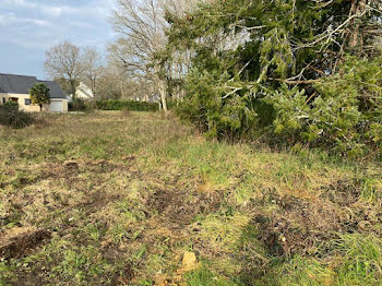 terrain à La Chapelle-des-Marais (44)