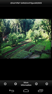 How to download Vegetable Garden Ideas patch 1.0 apk for pc