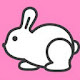 Cute Bunny & Rabbit Wallpaper HD New Tab