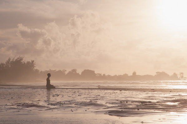 Surf di Laura Benvenuti