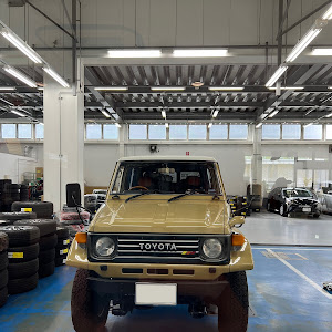 ランドクルーザー HZJ-73V