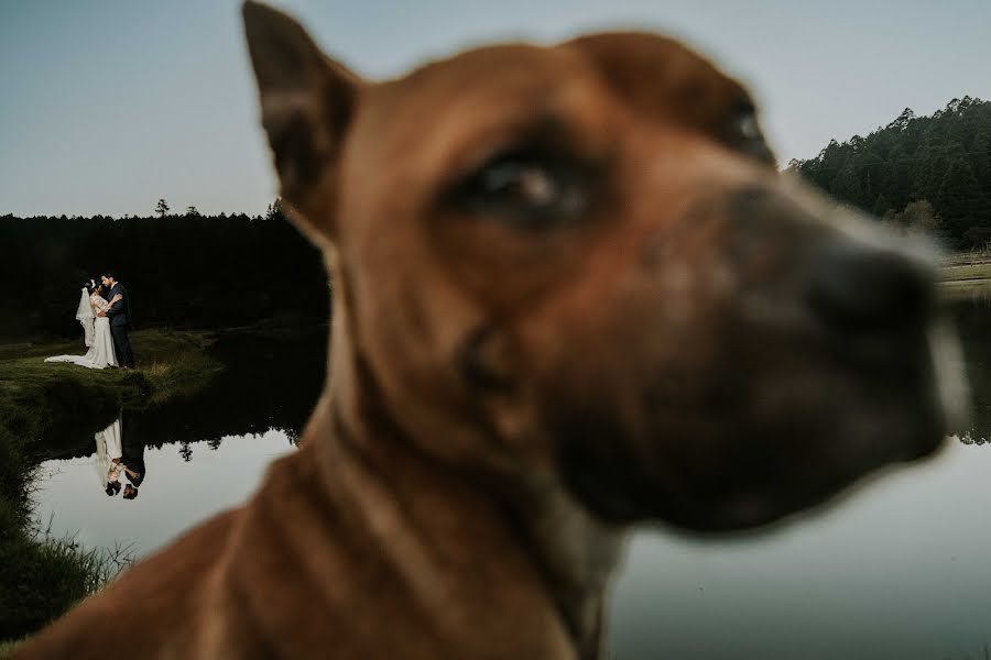 Vestuvių fotografas Julia Rivera (julsriverd). Nuotrauka 2022 lapkričio 12