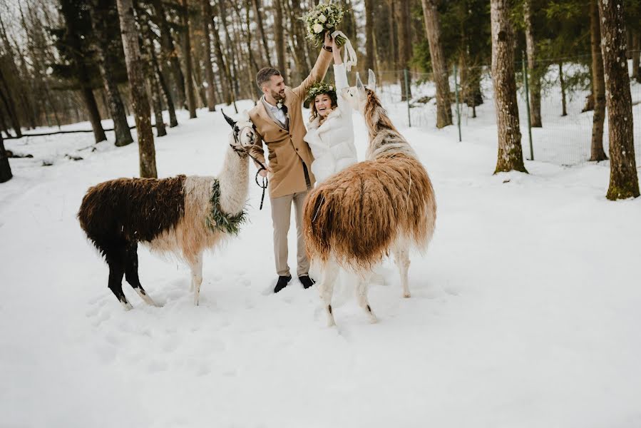 Düğün fotoğrafçısı Polina Palchekh (palchekh). 17 Şubat 2019 fotoları