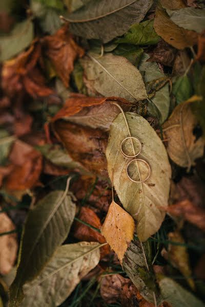 Wedding photographer Anastasiya Pavlova (photonas). Photo of 13 October 2016