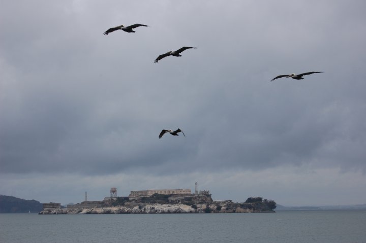 Fuga da Alcatraz di monica.napione