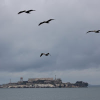 Fuga da Alcatraz di 