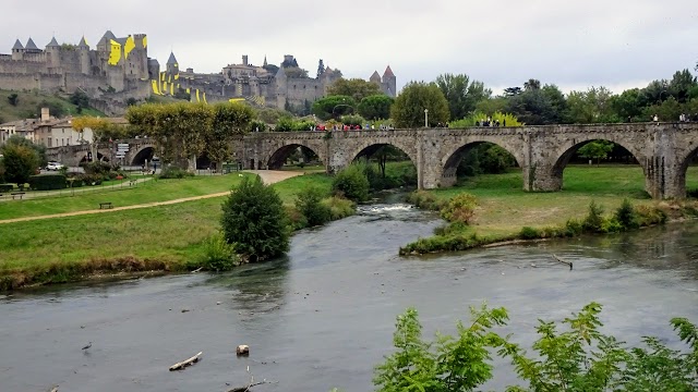 CARCASSONNE, NOSOTROS CUATRO Y... LESLIE - Blogs of France - Visita de Carcassonne (16)