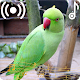 Parrot Sounds Ringtone Download on Windows