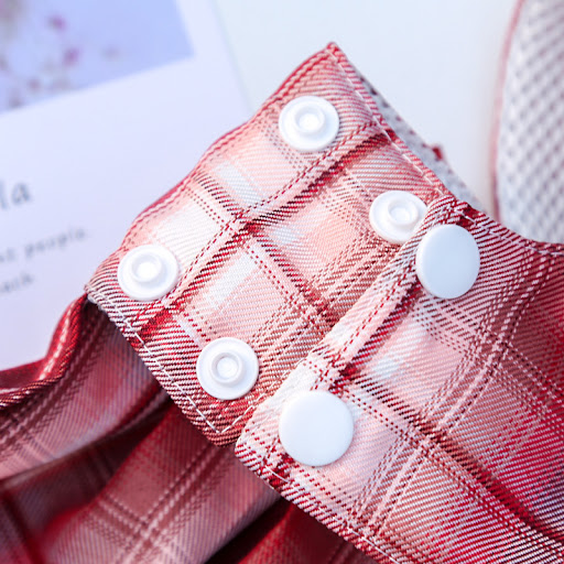 Title 3, Pet Plaid Skirt Chest Strap Hand Holding Rope. ...
