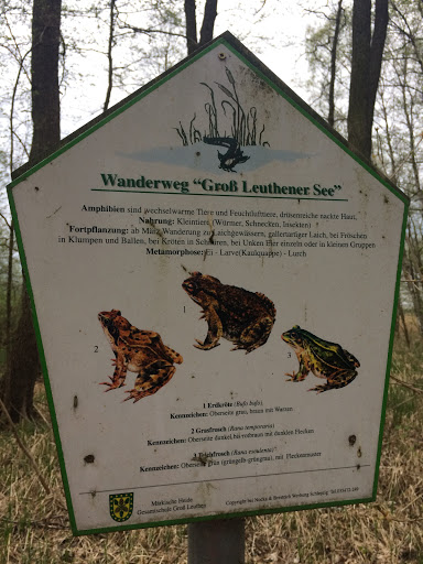 Wanderweg Amphibien