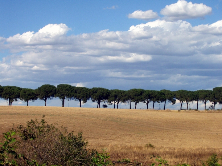 Campagna romana di ritabat