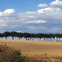 Campagna romana di 