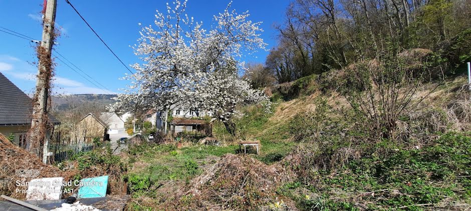 Vente terrain  1170 m² à La Motte-d'Aveillans (38770), 66 000 €