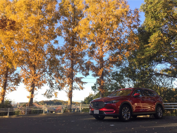 CX-8のドライブ・CX-8・無加工スマホ撮り・6ヶ月点検に関するカスタム事例の投稿画像2枚目