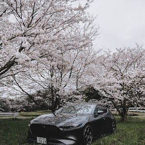 MAZDA3 BPFP