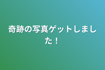 奇跡の写真ゲットしました！