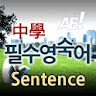 AE 중학필수영숙어_Sentence icon