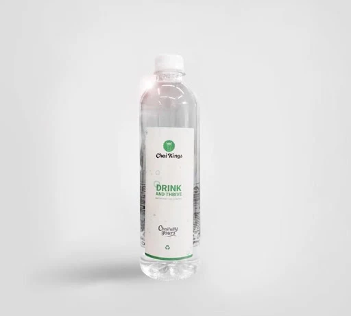 Water Bottle (500 Ml)