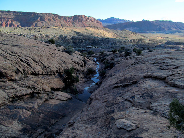 Spring water flowing through a slickrock wash