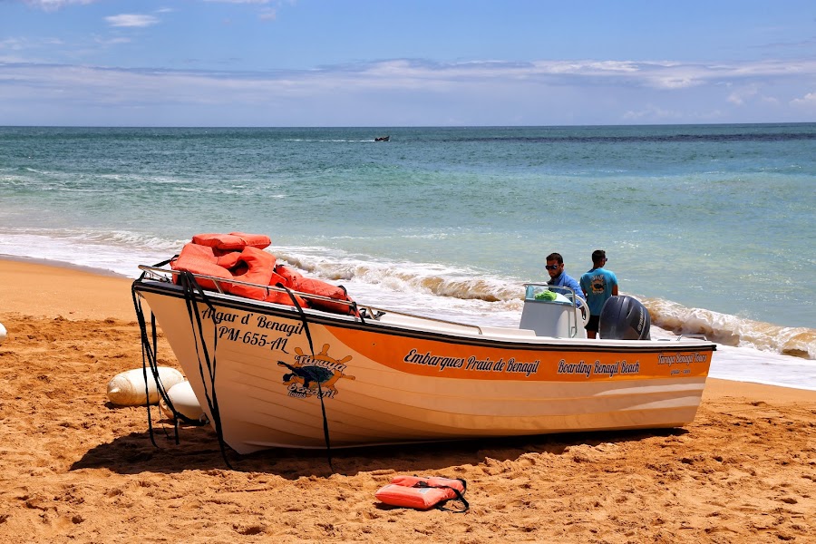 Benagil, plaże Algarve