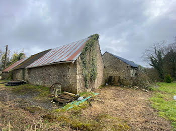 maison à Malguénac (56)