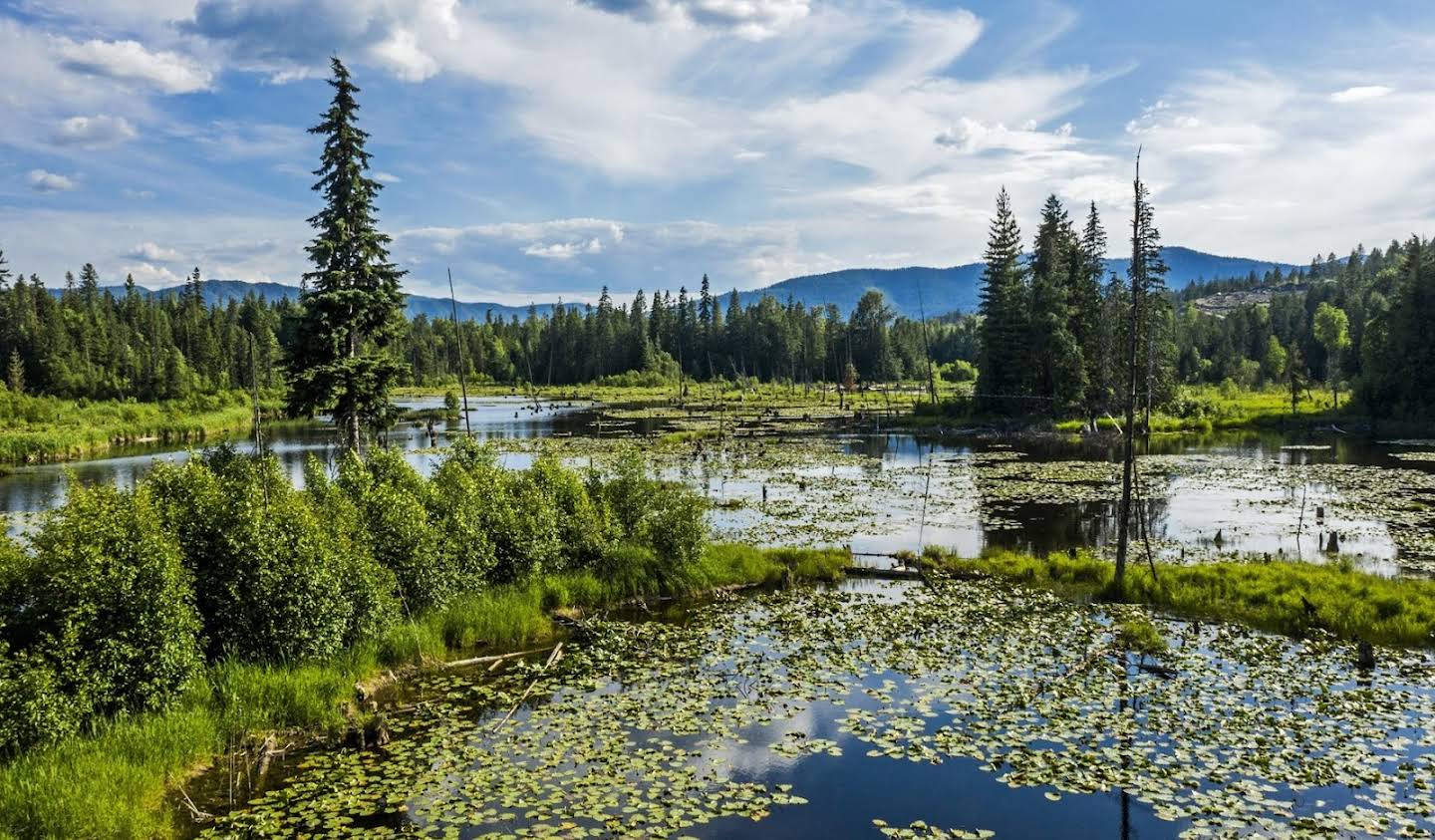 Terrain Clark Fork