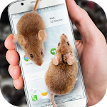 Mouse on Screen Scary Joke Apk