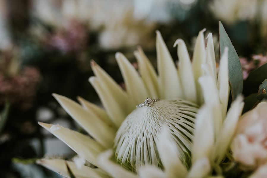 Fotografo di matrimoni Lucy Mcgoldrick (translucentphoto). Foto del 13 febbraio 2019