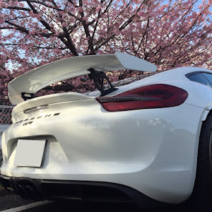 ケイマン GT4